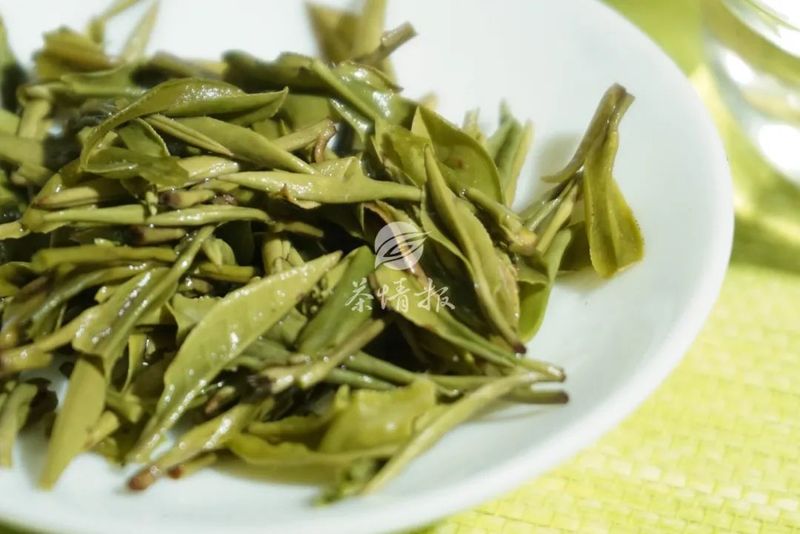 关于不同地区的绿茶采摘时间不同，品鉴早春茶要注意这三点！的消息