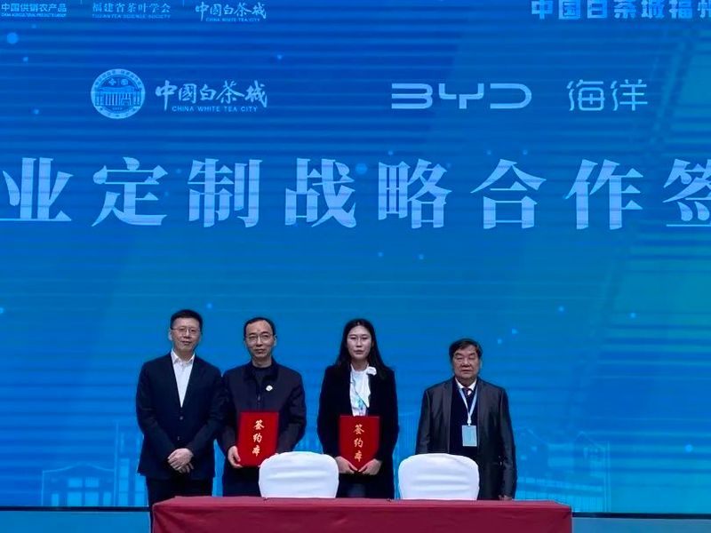 关于中国白茶营销新模式诞生：信用＋金融＋渠道的最新消息(11)