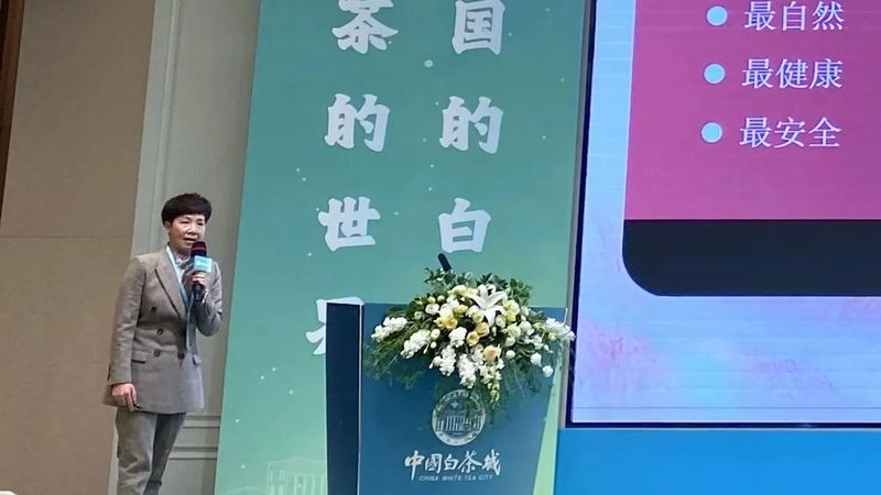 关于中国白茶营销新模式诞生：信用＋金融＋渠道的最新消息(14)