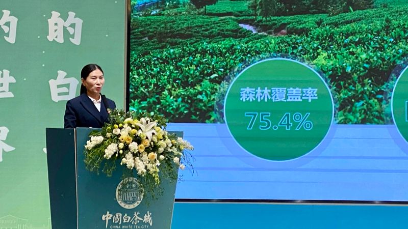 关于中国白茶营销新模式诞生：信用＋金融＋渠道的最新消息(15)
