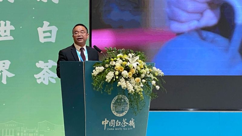 关于中国白茶营销新模式诞生：信用＋金融＋渠道的最新消息(16)
