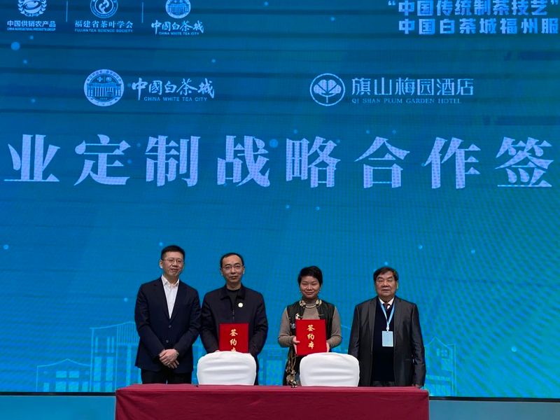 关于中国白茶营销新模式诞生：信用＋金融＋渠道的最新消息(12)