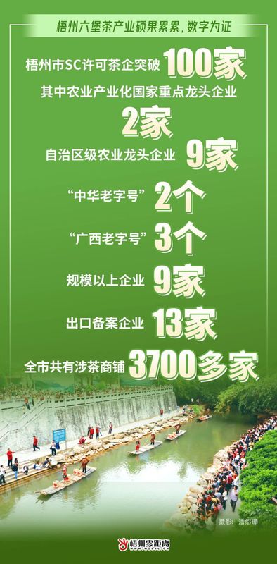 关于过去一年，梧州六堡茶产业硕果累累，数字为证！的最新消息(1)