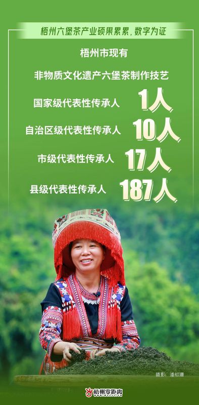 关于过去一年，梧州六堡茶产业硕果累累，数字为证！的最新消息(7)