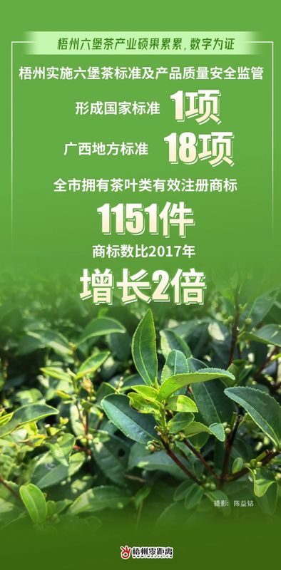 关于过去一年，梧州六堡茶产业硕果累累，数字为证！的最新消息(4)