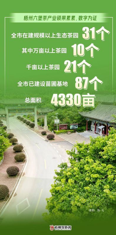 关于过去一年，梧州六堡茶产业硕果累累，数字为证！的最新消息(6)