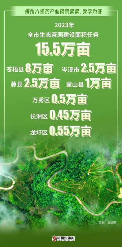 关于过去一年，梧州六堡茶产业硕果累累，数字为证！的最新消息(10)