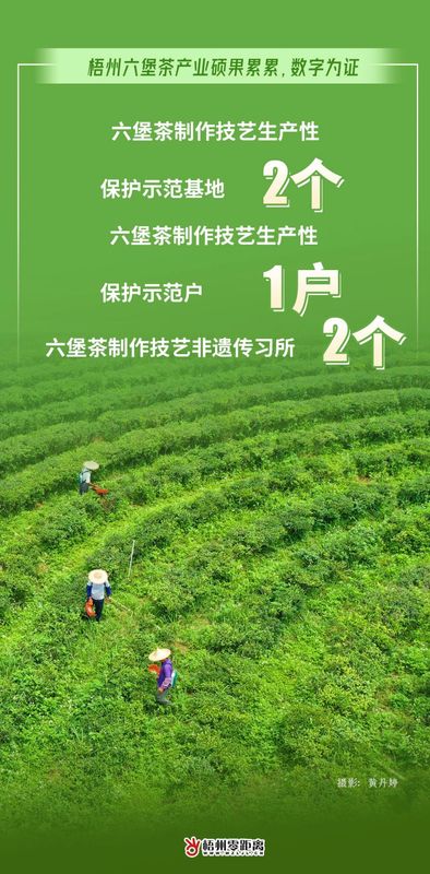 关于过去一年，梧州六堡茶产业硕果累累，数字为证！的最新消息(8)