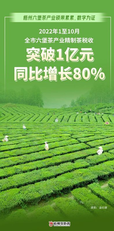 关于过去一年，梧州六堡茶产业硕果累累，数字为证！的最新消息(2)