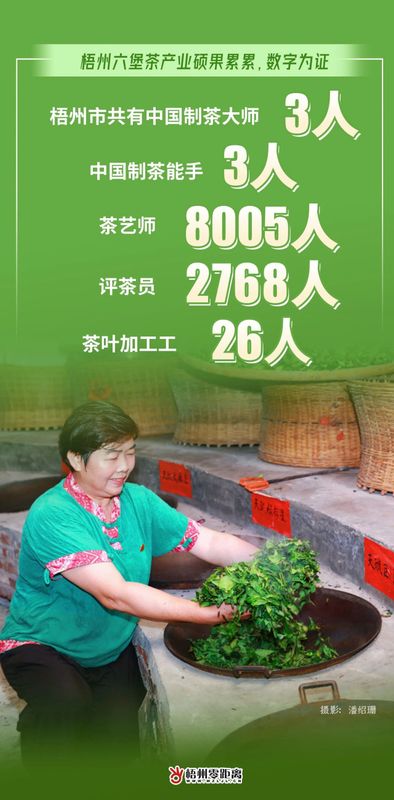 关于过去一年，梧州六堡茶产业硕果累累，数字为证！的最新消息(9)