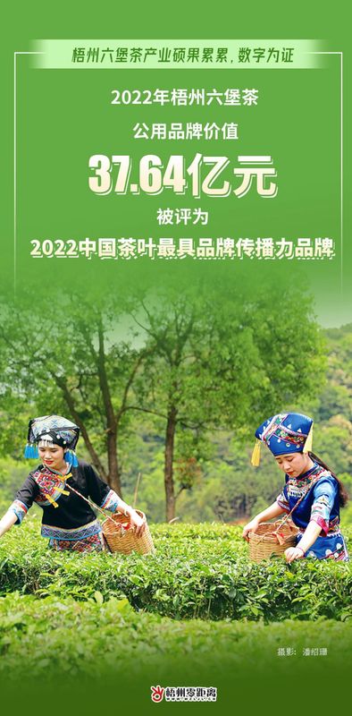 关于过去一年，梧州六堡茶产业硕果累累，数字为证！的最新消息(3)