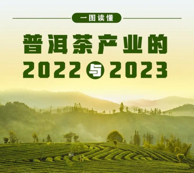 有关于“普洱茶产业的2022与2023”“中国白茶营销新模式诞生”“围炉煮茶风”的最新消息(1)
