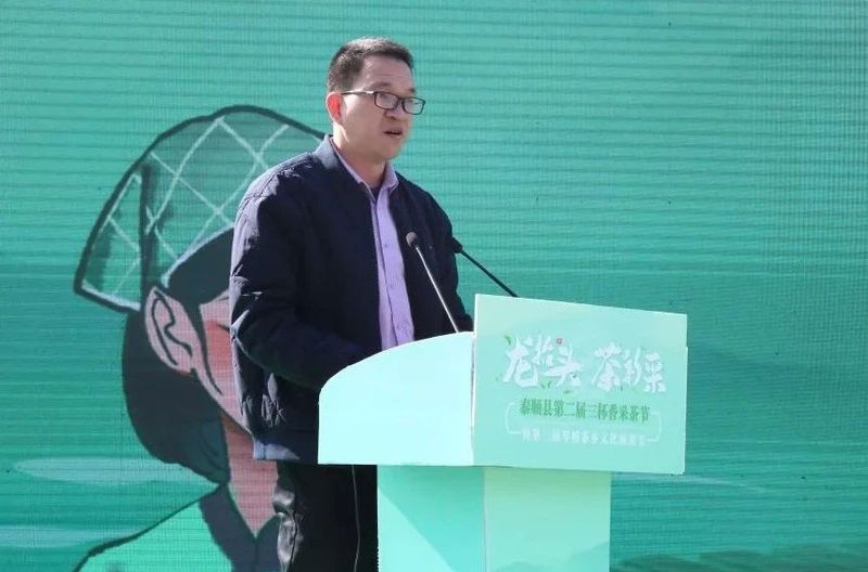 关于泰顺县第二届三杯香采茶节暨第三届琴桥茶乡文化旅游节在仕阳镇举行的相关内容(3)