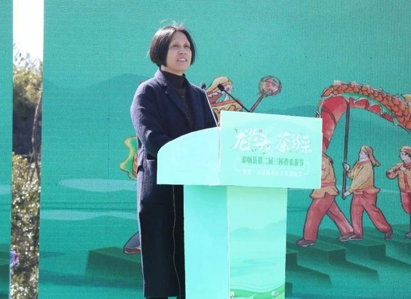 关于泰顺县第二届三杯香采茶节暨第三届琴桥茶乡文化旅游节在仕阳镇举行的相关内容(6)