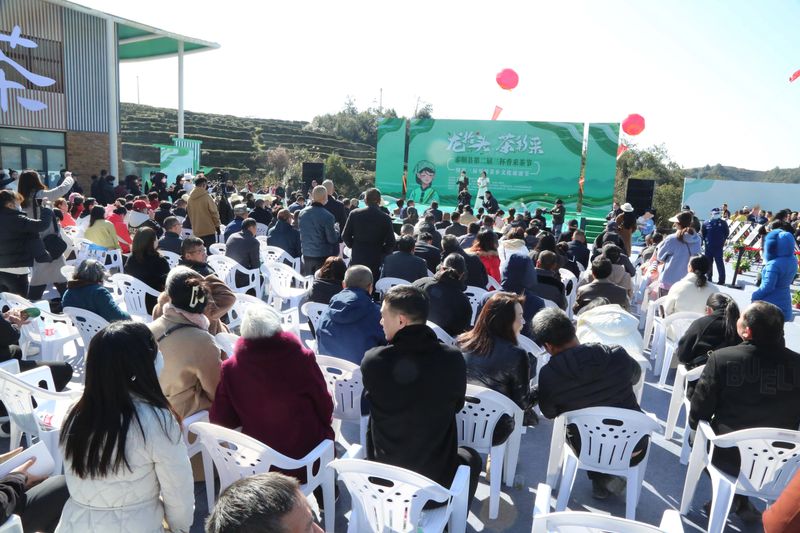 关于泰顺县第二届三杯香采茶节暨第三届琴桥茶乡文化旅游节在仕阳镇举行的相关内容(2)