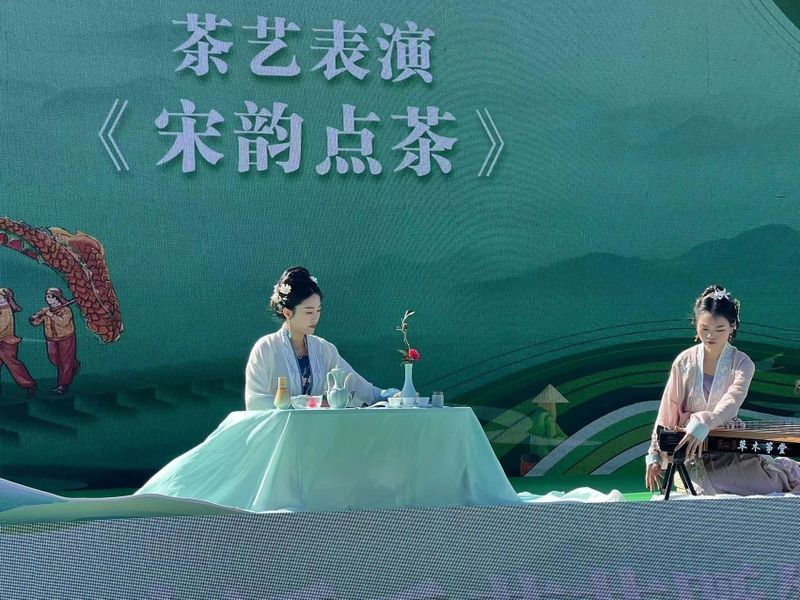 关于泰顺县第二届三杯香采茶节暨第三届琴桥茶乡文化旅游节在仕阳镇举行的相关内容(14)