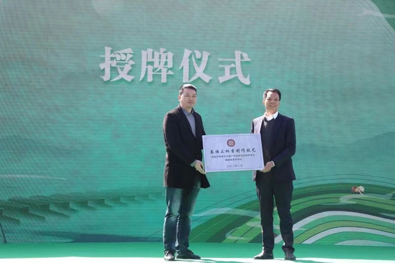 关于泰顺县第二届三杯香采茶节暨第三届琴桥茶乡文化旅游节在仕阳镇举行的相关内容(9)
