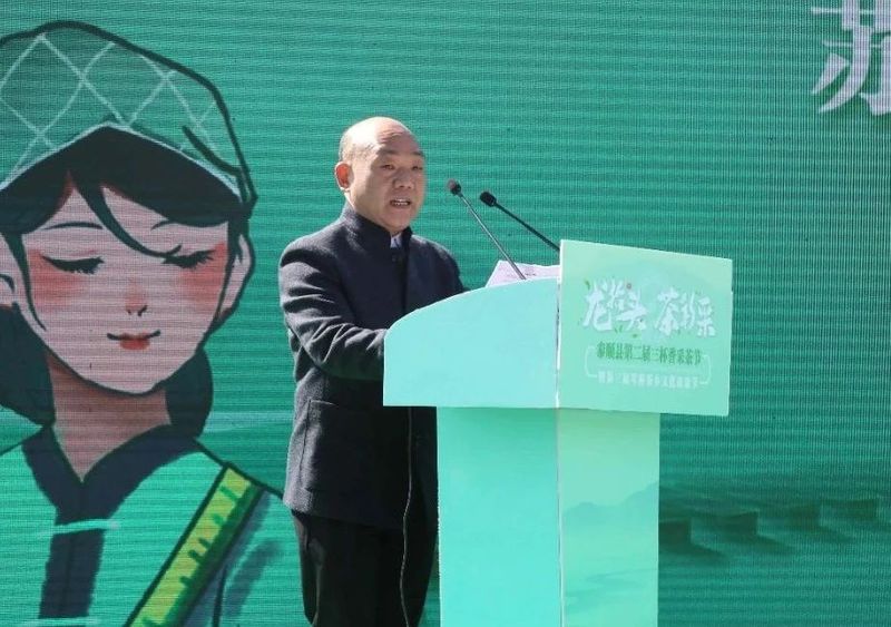 关于泰顺县第二届三杯香采茶节暨第三届琴桥茶乡文化旅游节在仕阳镇举行的相关内容(7)