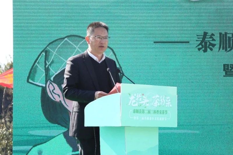 关于泰顺县第二届三杯香采茶节暨第三届琴桥茶乡文化旅游节在仕阳镇举行的相关内容(4)