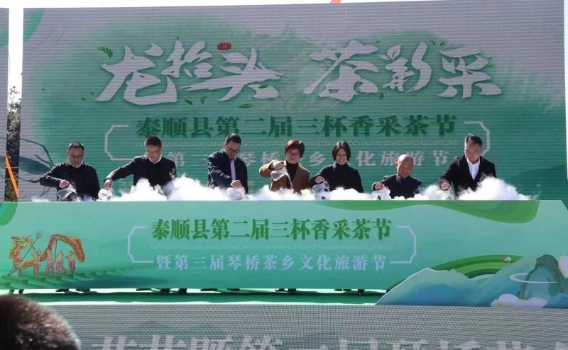 关于泰顺县第二届三杯香采茶节暨第三届琴桥茶乡文化旅游节在仕阳镇举行的相关内容(8)