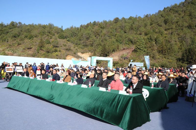 关于泰顺县第二届三杯香采茶节暨第三届琴桥茶乡文化旅游节在仕阳镇举行的相关内容(1)