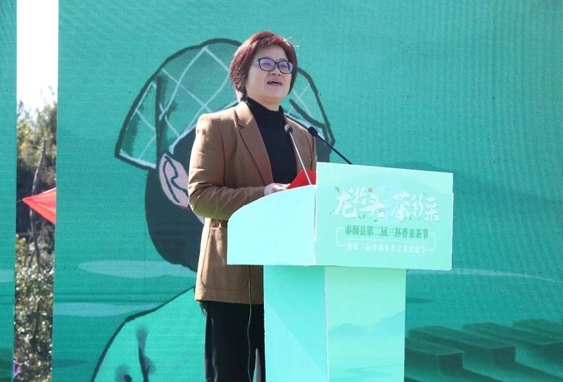 关于泰顺县第二届三杯香采茶节暨第三届琴桥茶乡文化旅游节在仕阳镇举行的相关内容(5)