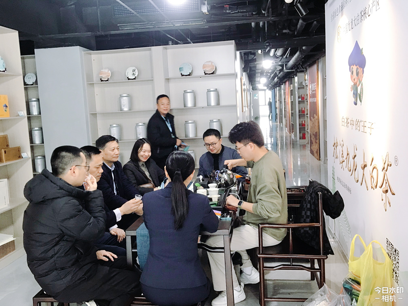 关于松溪九龙大白茶亮相中国白茶城福州服务中心的内容(2)