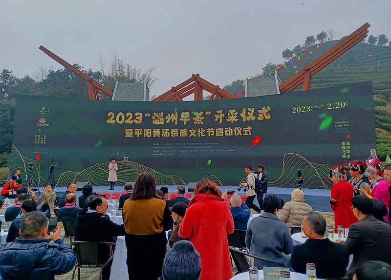 有关于春光明媚，茶香醉人，平阳黄汤开采啦！的新闻(1)