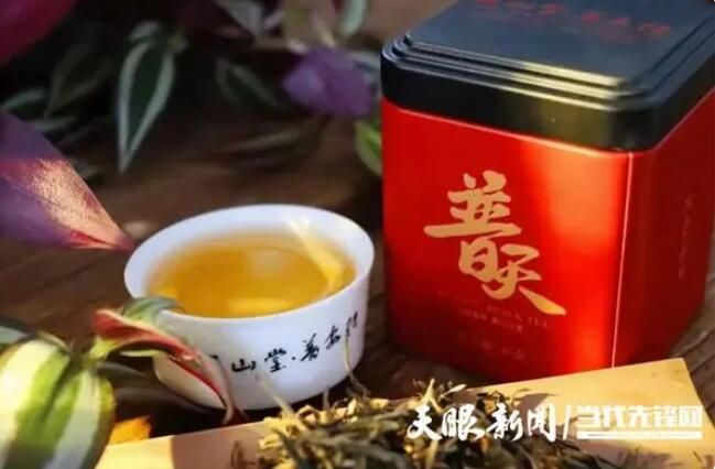 有关于普安：古茶树之乡奏响富民协奏曲的信息