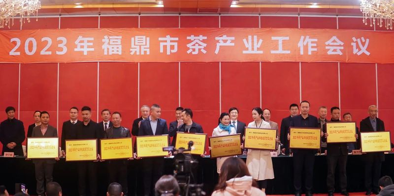有关于2023年福鼎市茶产业工作会议召开的相关信息(8)