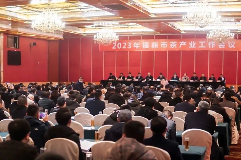 有关于2023年福鼎市茶产业工作会议召开的相关信息