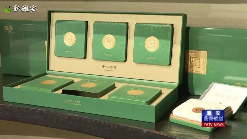 有关于 厚积薄发 起步提速 全力以赴备战春茶季的相关信息(9)