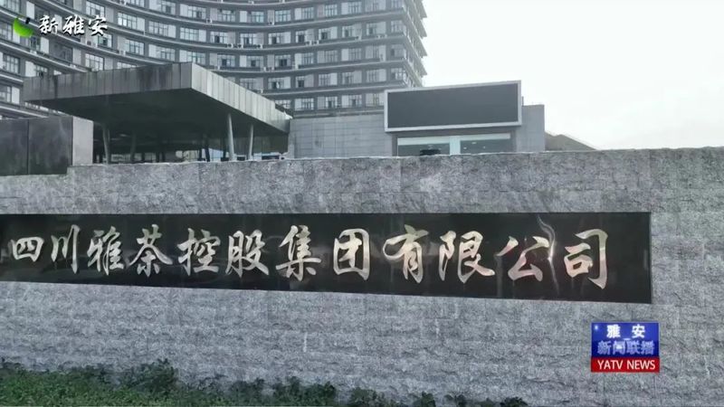 有关于 厚积薄发 起步提速 全力以赴备战春茶季的相关信息(6)