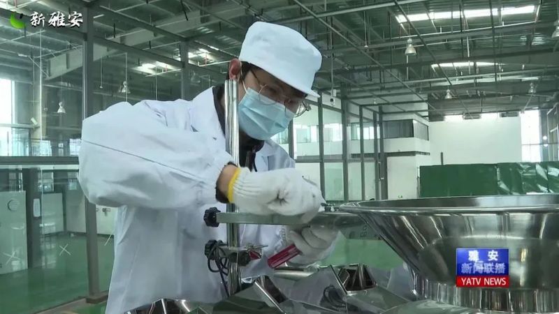 有关于 厚积薄发 起步提速 全力以赴备战春茶季的相关信息(2)