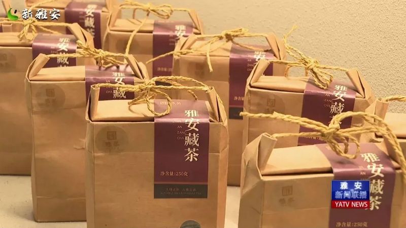 有关于 厚积薄发 起步提速 全力以赴备战春茶季的相关信息(8)