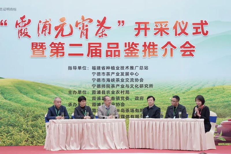 有关于品见早春鲜绿!“霞浦元宵茶”开采仪式暨第二届品鉴推介会举行的消息