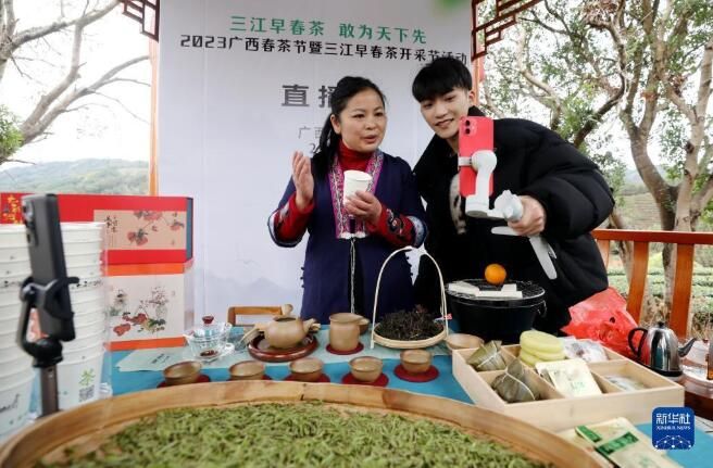 关于广西三江:春茶开采的最新消息(2)