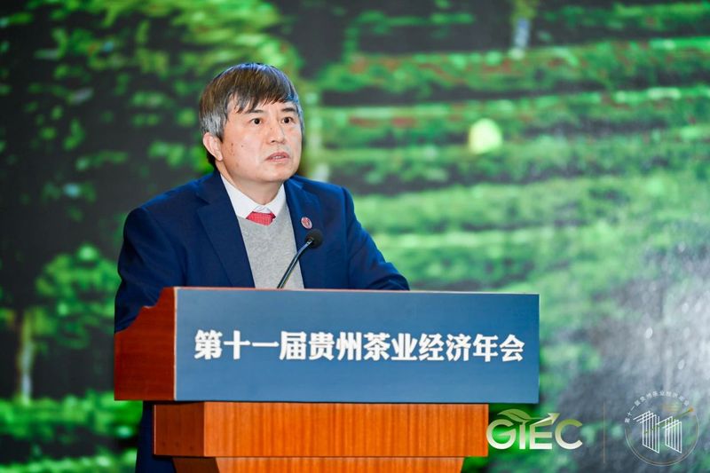 关于第十一届贵州茶业经济年会隆重开幕,徐麟作批示,李汉宇讲话的信息(7)