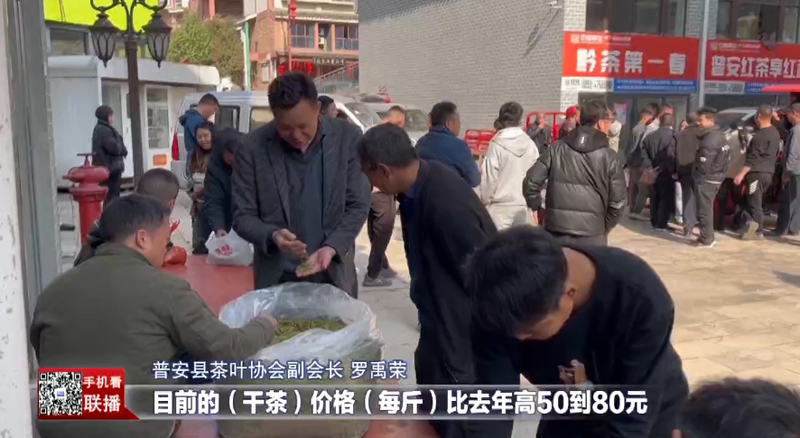关于2023年全国春茶采摘时间合集,各地春茶发展情况一览!的信息(19)