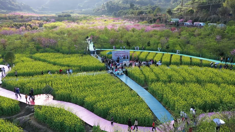 关于2023年全国春茶采摘时间合集,各地春茶发展情况一览!的信息(13)