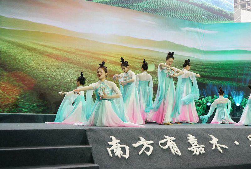 有关于宜宾早茶产销对接会签约金额2.3亿元的相关信息(14)