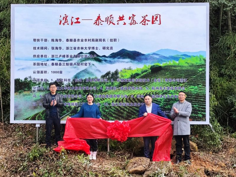 有关于山海协作，滨江区助力泰顺县打造首个“共富茶园”的资讯(1)
