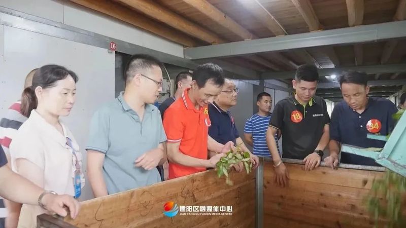 有关于建阳区首批“小湖水仙茶制作技艺”代表性传承人授牌仪式举行的资讯(6)