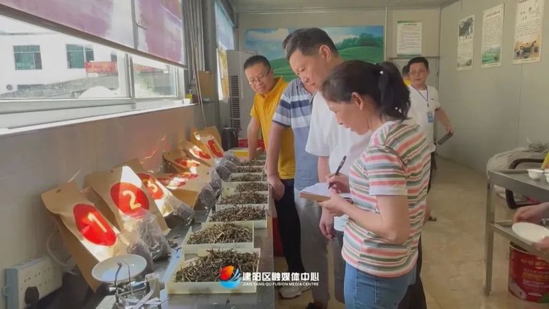 有关于建阳区首批“小湖水仙茶制作技艺”代表性传承人授牌仪式举行的资讯(8)