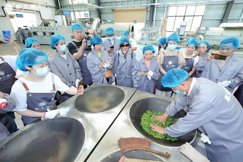 有关于“非物质文化遗产蒙山茶”案例亮相第二届全国乡村文化产业创新发展大会的消息