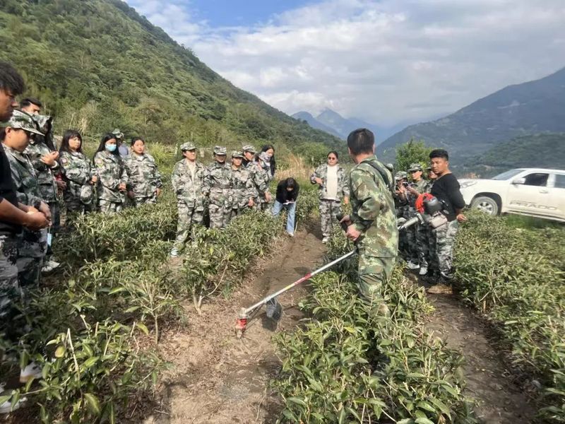 有关于墨脱县农业农村局赴德兴村开展助力产业振兴茶产业现场培训会的相关内容(1)