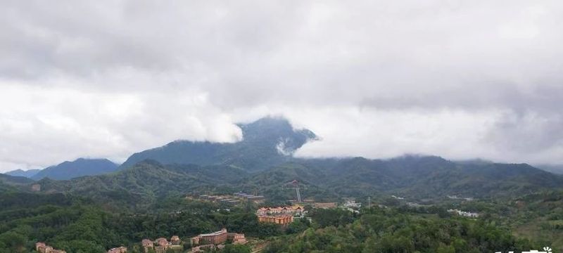 关于走进海南五指山毛纳村：感受春天的怦然心动与山城的水满茶香的消息