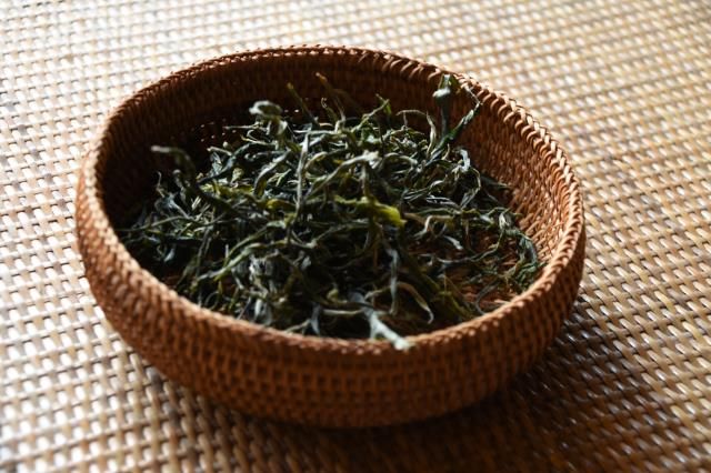 有关于普洱春茶什么时候采摘的消息(2)