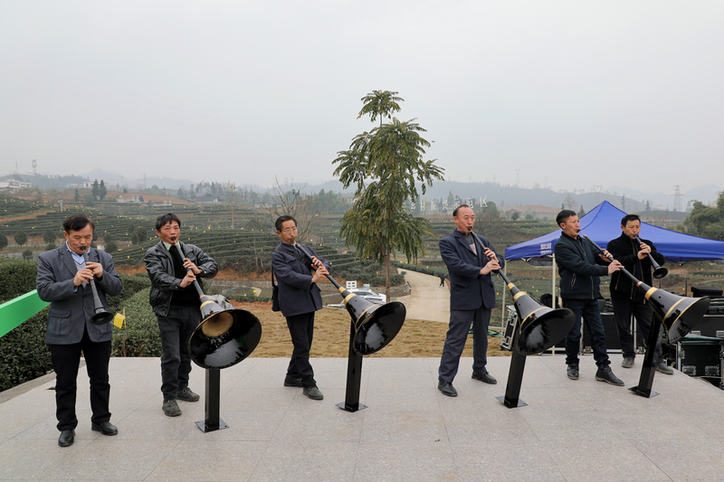 关于2023年第十六届中国·宜宾早茶节精彩亮点的相关信息(1)