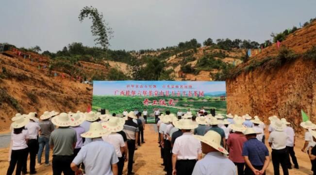 有关于蒙山县：迈出茶产业发展新步伐的新闻